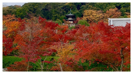 Kyoto_22